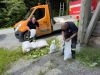 T01 sonstige Hilfeleistung Gerätebeistellung